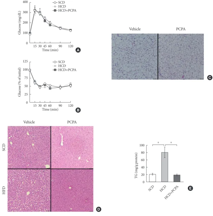 Fig. 3. Short-term treatment with para-chlorophenylalanine (PCPA) in the context of high carbohydrate diet (HCD) protected 