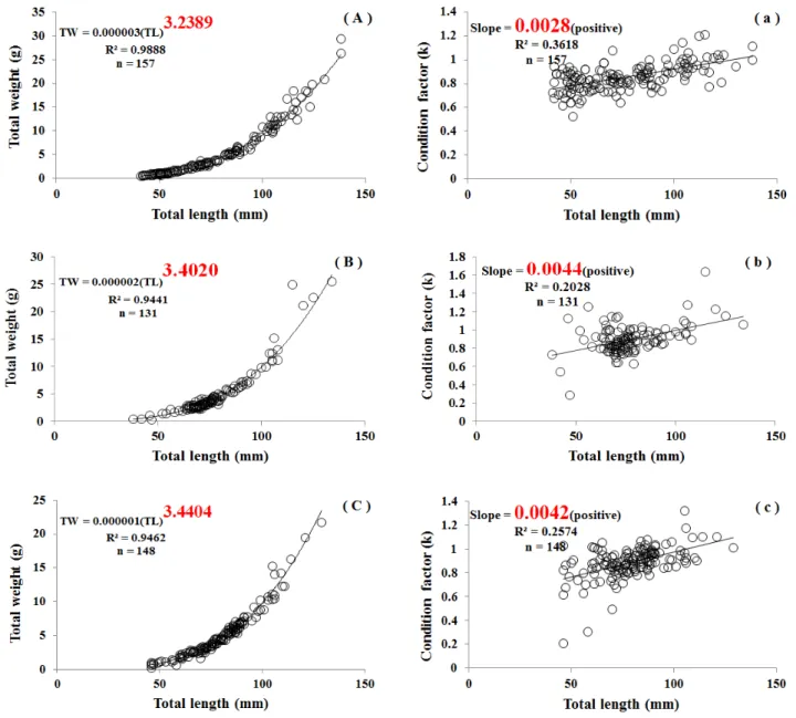 Figure 3. Relationship  between  total  length  and  body  weight  of  Z.  koreanus  sampled  in  the  (A)  Bongseonsa  Stream, (B)  Jojong  Stream  and  (C)  Sudong  Stream,  Condition  factor(k)  for  Z