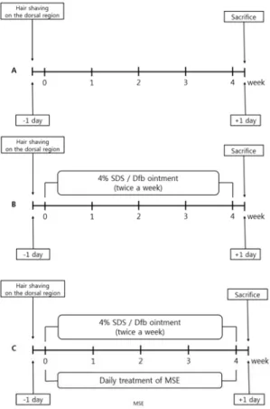 Table 1. Schematic Representation of the Experiment. 