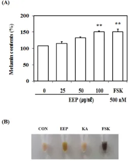 Fig. 4. Effect  of  EEP  on  the  Tyrosinase  Activity  in  B10F10 Cells.