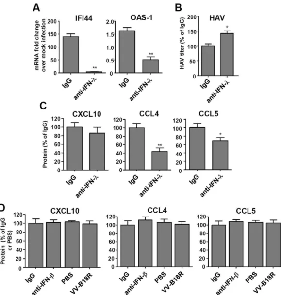 Figure 4.  Effects of neutralizing IFN-λ on the production of chemokines in HAV-infected cells