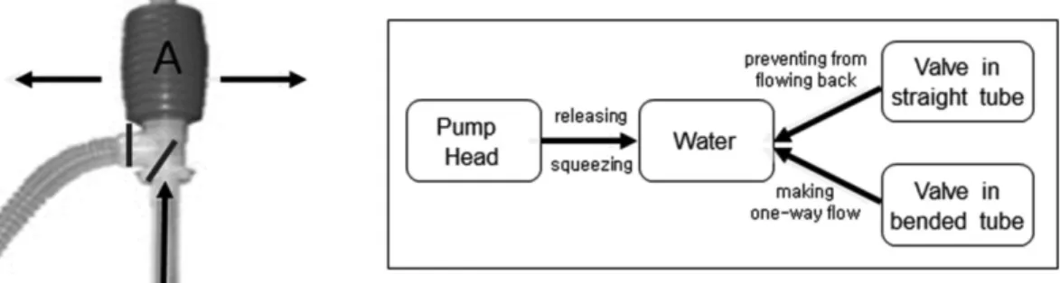 Fig. 1 Siphon pump used in the activity and target model of the activity