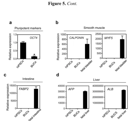 Figure 5. Cont. 
