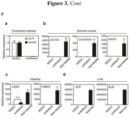 Figure 3. Cont. 