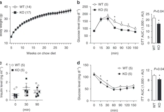 Figure 2 | Metabolic phenotypes of FoxO1 KO DAT mice in chow diet. (a) Body weight of male mice on chow diet