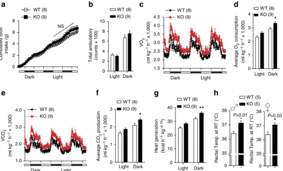Figure 5 | Increased energy expenditure in FoxO1 KO DAT mice. (a) Cumulative food intake of male mice fed on HFD for 1 week