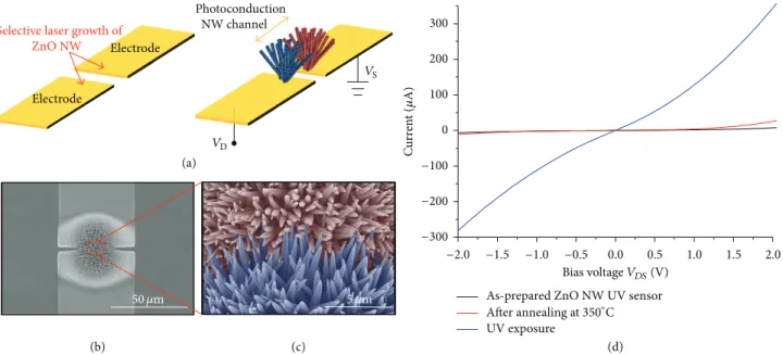 Figure 5: (a) Schematic of ZnO NW based UV sensor fabricated by laser induced hydrothermal growth