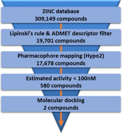 Figure 6. The flowchart of virtual screening using Hypo2. 