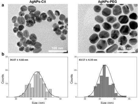 Figure 2. Characterizations of AgNPs-Cit and AgNPs-PEG. (a) Transmission electron microscopic (TEM) image and (b) size distribution.