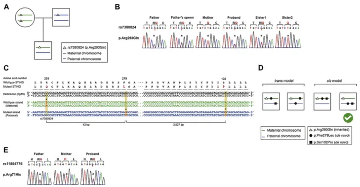 FIG E2. Long read sequencing result confirming the 2 cis de novo variants in TMEM173. A, The proband has a heterozygous common single nucleotide polymorphism (rs7380824; East Asian frequency 0.4205 from ExAC) inherited from the mother