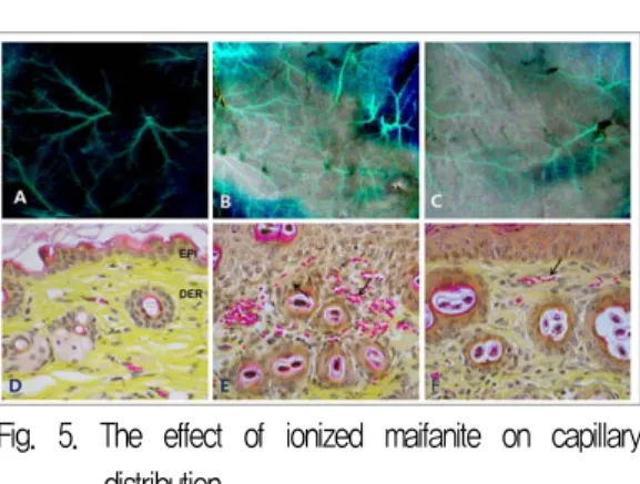 Fig.  4.  The  effect  of  ionized  maifanite  on  master  cell,  substance P. 