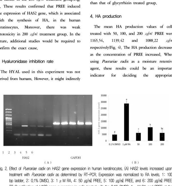 Fig.  2.  Effect  of  Puerariae  radix   on  HAS2  gene  expression  in  human  keratinocytes