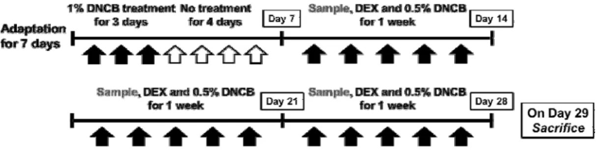 Fig. 1. Schematic representation of the experimental design