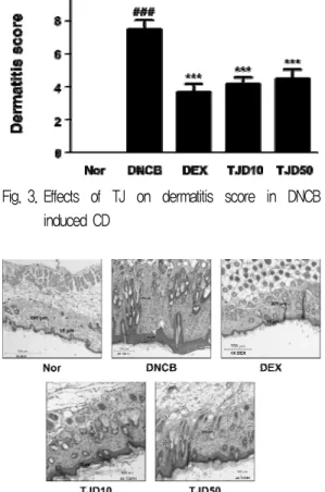 Fig. 4. Effects  of  TJ  on  histopathological  feature  of  skin  lesions in DNCB induced CD