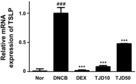 Fig. 10. Effects of TJ on mRNA expression of TARC