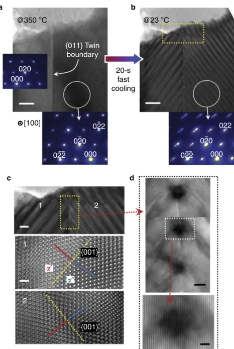 Figure 2 | Observation of phase separation with a twin interface. (a,b) BF-TEM images of a grain containing a {011} twin boundary are shown