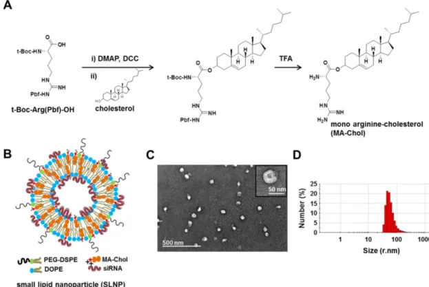 Figure 1. Synthesis of MA-Chol and formation of a small lipid nanoparticle (SLNP). (A) Synthetic scheme for the synthesis of MA-Chol