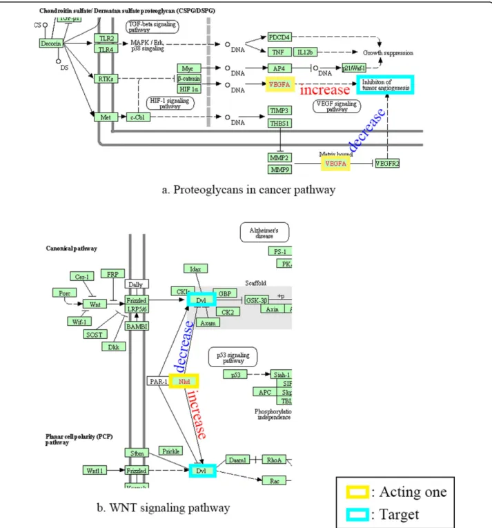 Figure 5 Dual function of genes. a show dual function of VEGFA in proteoglycans in cancer pathway, and b shows dual function of NKD1 in WNT pathway.