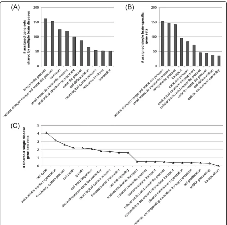Figure 3 Functional distribution of the shared gene sets and the single brain disease-specific gene sets