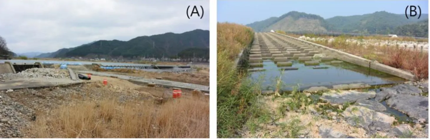 Figure  5.  Comparison  of  standard  length  frequency  for P.  altivelis  at  upper,  middle  and  down  stream stations  in  August  2015  from  Wangpicheon,  Korea