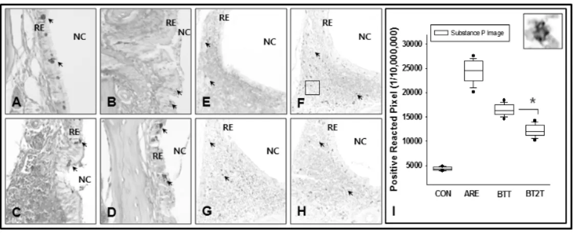Fig. 8. The regulation of sneezing &amp; itching by BT. 