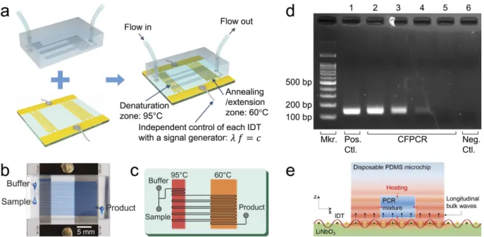 Figure 4.  a, Schematic diagram showing the fabrication of a CFPCR chip. The PCR mixture flowing 