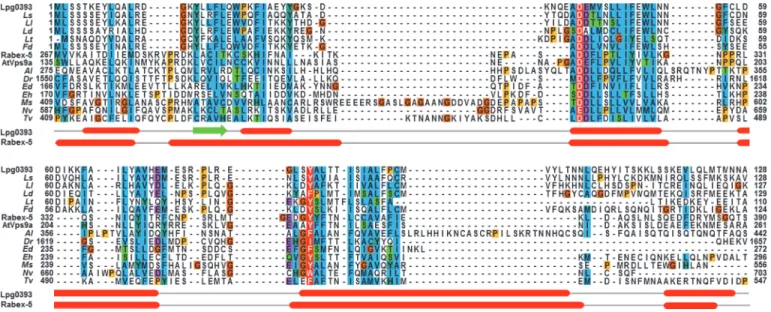 Fig 1. Multiple sequence alignment. Sequence homologues of Lpg0393 were identified by HHpred, and its non-redundant close relatives were aligned to a set of 10 distant Vps9 domains in the PF02204 of the Pfam database