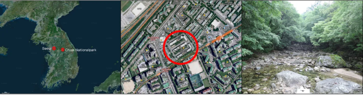 Figure  1.  Study  Site
