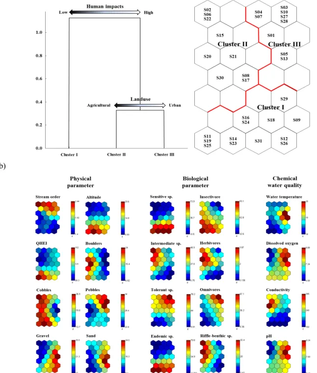 Figure  4.  Classification  of  thirty  one  sites  based  on  the  SOM  trained  with  eight  biological  parameters  and  twelve  environmental  variables(physical  parameters  and  chemical  water  quality)  measured  in  2014 