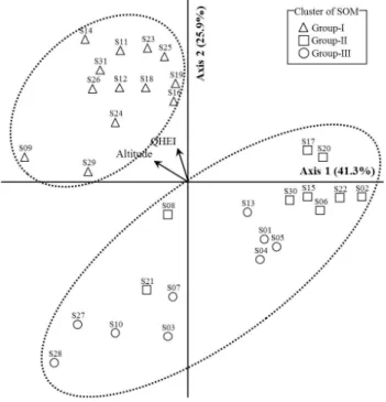 Figure  5.  Two  axes  of  principal  components  analysis  between  thirty  one  sites  and  twelve  environmental variables(QHEI:  qualitiative  habitat  evaluation index) 남해도의 소하천에서 어류 군집구조는 일차적으로 하천 의 물리적 서식환경에 의하여 영향을 받는 것으로 나타났으 며,  특히 인간의 인위적인 교란이 증