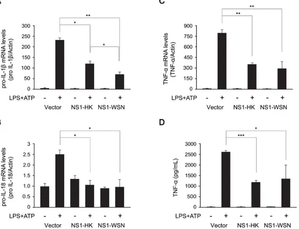 Fig 3. Downregulation of the transcription of proinflammatory cytokines by NS1 variants