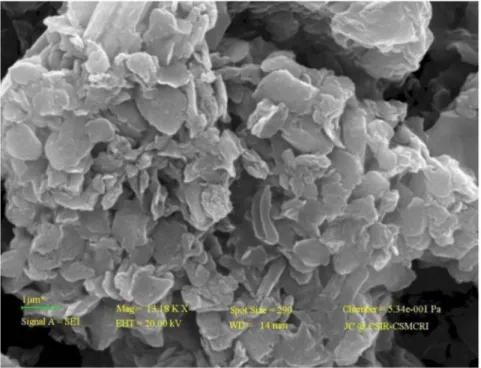 Figure 1. SEM image of DAB. doi:10.1371/journal.pone.0109545.g001
