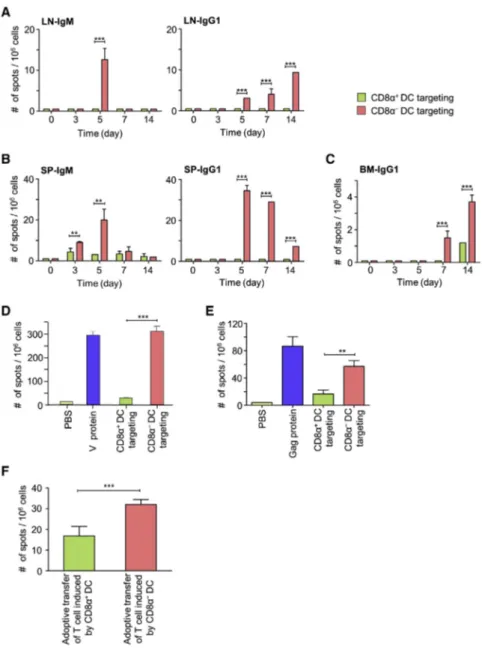 Figure 7. CD8 a DCs Enhance Tfh Cell- Cell-Dependent Humoral Immune Responses against Various Human Antigens