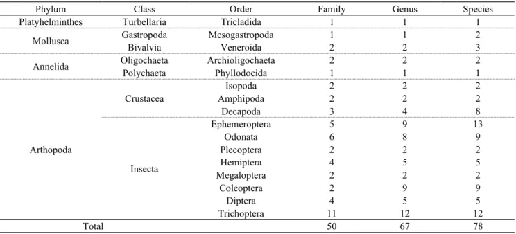 Table 1.  Individual number of benthic macroinvertebrates from May to October, 2016 in Seonun stream추동물의 다양성을 파악하기 위해 환경부 제 3차 전국자연