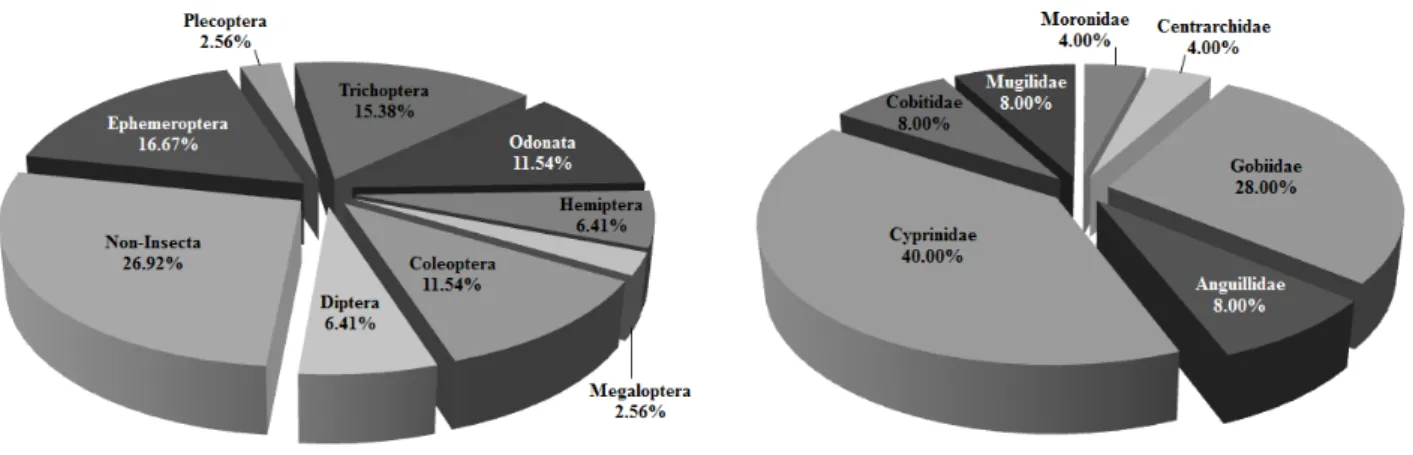 Figure  2.  Compositions  of  species  of  benthic  macroinvertebrates  and  freshwater  fish  in  Seonun  stream  of  Gochang  County,  Korea 1)가 조사되었으며,  저서성 대형무척추동물 중 가장 다양성 이 높은 수서곤충은 57종(73.08%)으로 나타났다