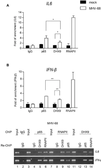 Figure 9. DHX9 is recruited to the NF- ␬B p65–dependent promoters dur- dur-ing viral infection