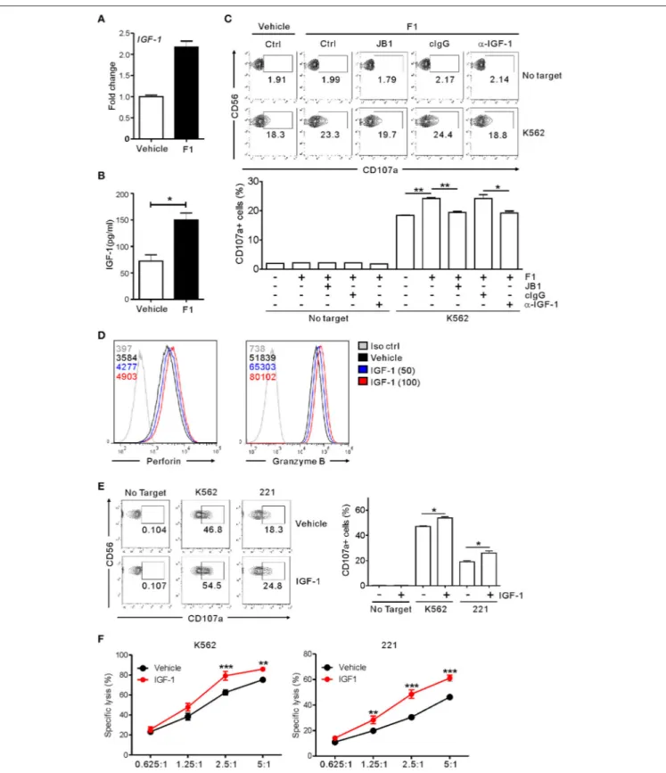 FIGURE 6 | NK cell potentiation by ginsenoside F1 is associated with IGF-1. (A) IGF-1 expression in expanded primary NK cells treated with either G-F1 (10 µM) or vehicle, as assessed by quantitative real-time PCR at 6 h of culture