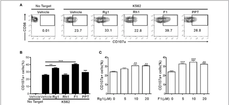 FIGURE 1 | Ginsenoside F1 (G-F1) enhances the natural cytotoxicity of NK cells. PBMCs exposed to IL-2 were pretreated with the indicated ginsenosides (10 µM) for 20 h and were then mixed with K562 cells in the presence of ginsenosides