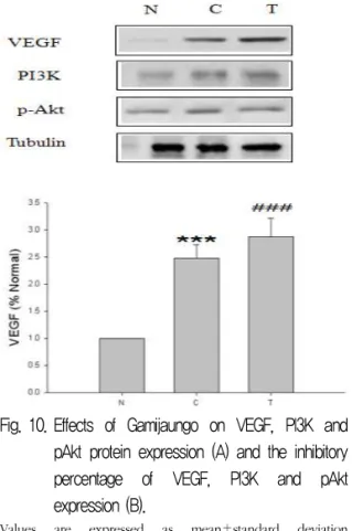 Fig. 10. Effects  of  Gamijaungo  on  VEGF,  PI3K  and  pAkt  protein  expression  (A)  and  the  inhibitory  percentage  of  VEGF,  PI3K  and  pAkt  expression (B)
