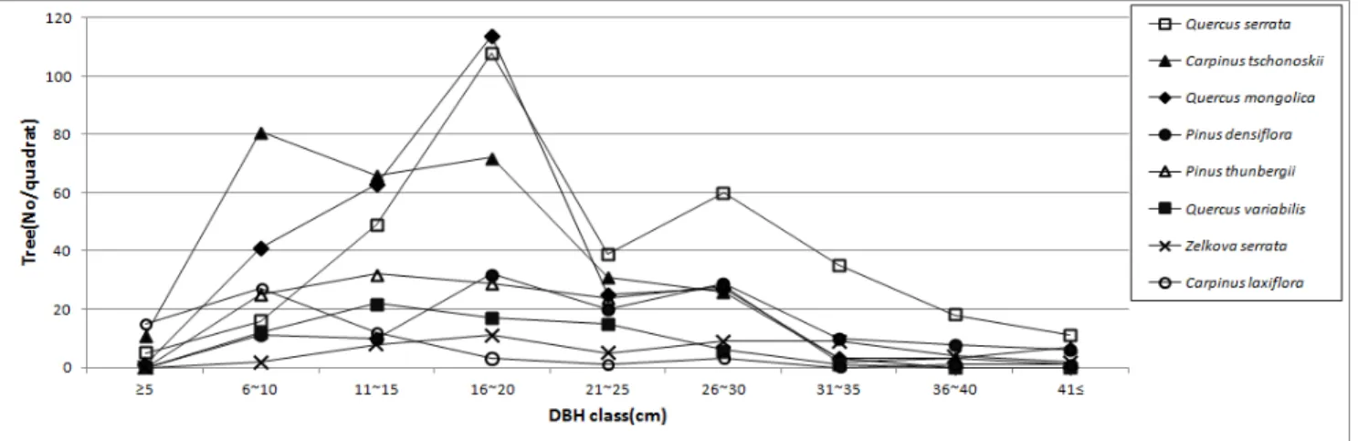 Figure  3.  DBH  distribution  of  major  upper  tree(T1)  layer  species  of  the  Geumsan  in  Namhae-gun 소사나무군락에서 19분류군에 대한 중요치를 분석한 결과 소사나무는 138.0으로 높게 나타났고 다음으로 굴참나무,  쇠물푸레,  서어나무,  때죽나무,  신갈나무 등의 순으로 나타났다