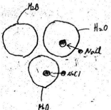 Fig. 7  This model expresses salt dissolution in water as  NaCl particles are included into water molecules