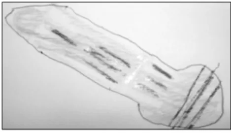 Fig. 3 E’ picture of a guitar he first thought of when  he heard the word ‘guitar’