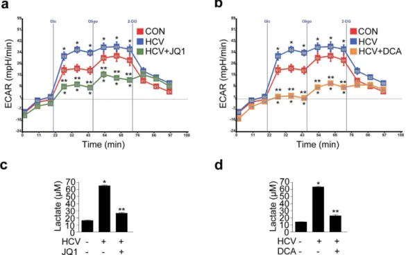 Figure 5.  Pharmacological inhibition of c-Myc and PDK reduces glycolysis-derived lactate production in  JFH-1 infected Huh7.5 cells