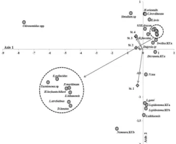 Figure  6.  Cluster  analysis  based  on  benthic  macroinvertebrates  assemblages  collected  at  the  four  sampling  sites  in  the  Songchu  valley