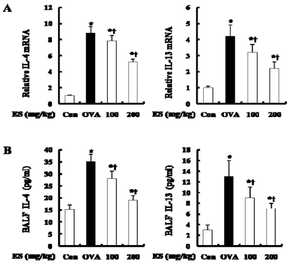 Fig. 5. Effect of ES on Th2 cytokine expression in OVA-induced asthma. 