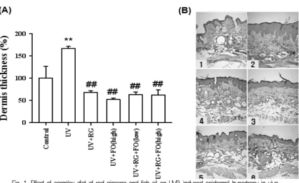 Fig. 1. Effect of complex diet of red ginseng and fish oil on UVB-induced epidermal hypertropy in vivo