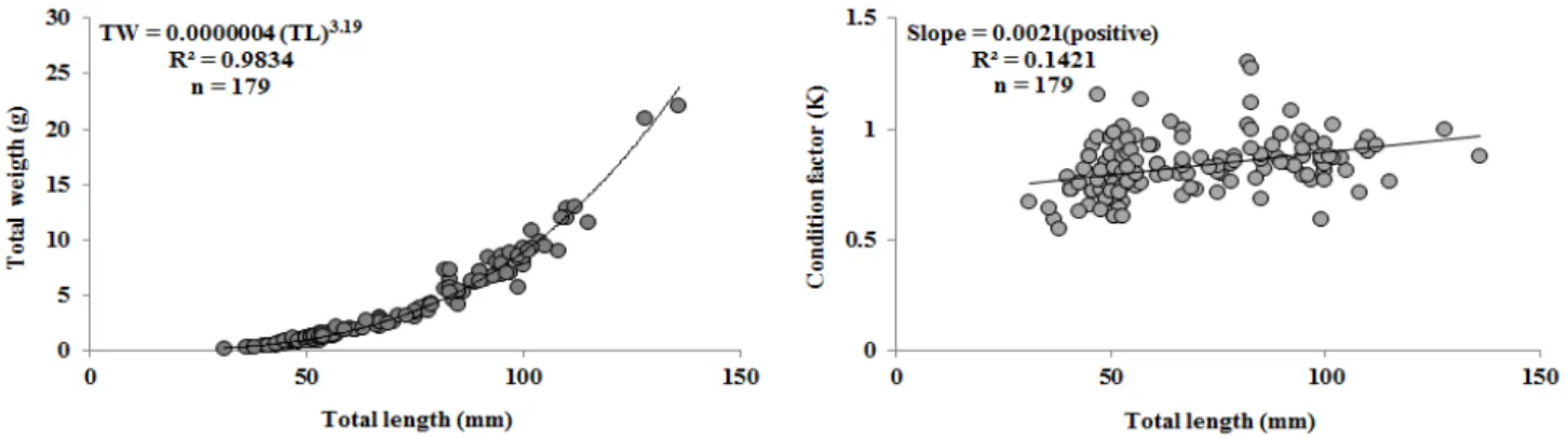 Figure  4.  Comparison  of  number  of  species  and  individuals  in  Yangjae  stream  from  2005 to  2012
