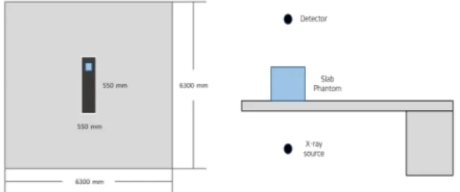 Fig.  1.  Description  of  the  geometry  in  the  operating  room
