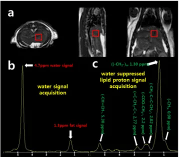 Fig. 1. Typical  1 H  magnetic  resonance  spectroscopy  of  fatty  liver  rat  model  with  voxel(0.8×0.8×0.8cm 3 )  placement  shown  in  the  T2-weighed  axial,  sagittal,  and  coronal  turbo  spin  images