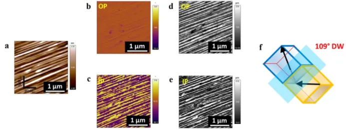 Figure 6.  Surface topography (a), OP and IP phase (b,c) and amplitude (d,e) images of Nb-doped BFO  (BFNO) films grown on NGO (100)